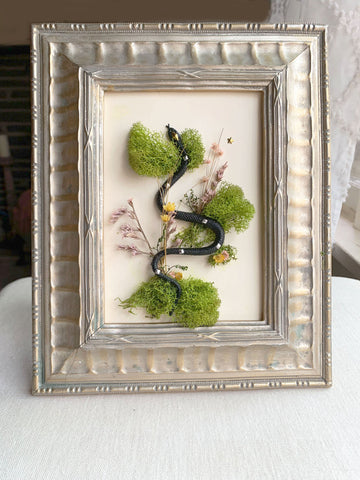 Snake Cottagecore Decor Real Dried Flower and Natural Art