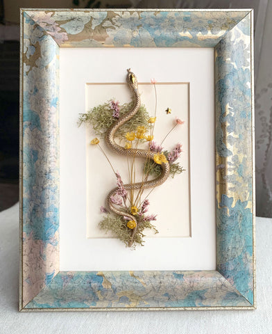 Snake Cottagecore Decor Real Dried Flower and Natural Art